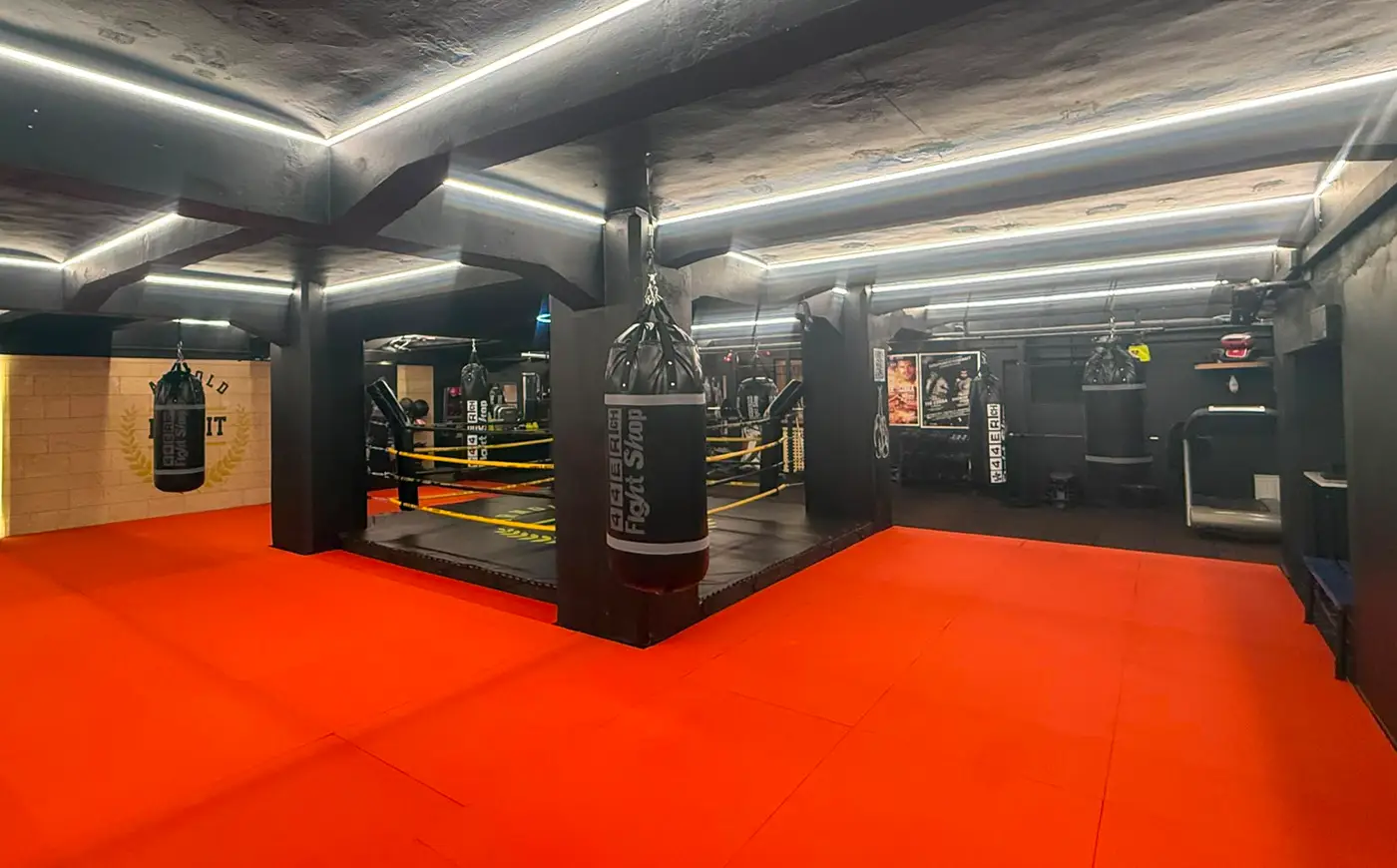 Gratis Schnuppertraining bei Arnold BoxFit